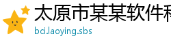 太原市某某软件科技维修网点